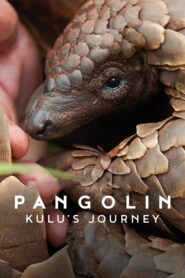 Pangolin: Kulu’s Journey
